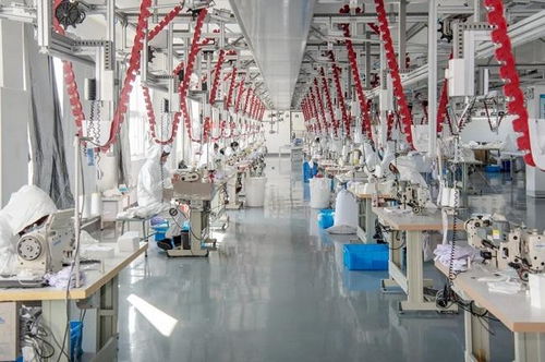 上云用数赋智强服务 加大数字化转型支撑保障，释放数字技术新动能